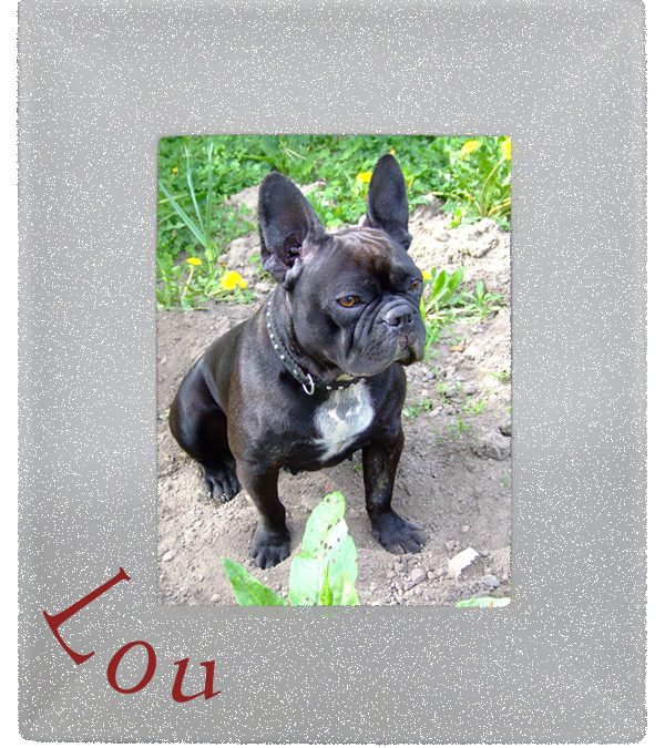 d-script_Hund_Fotorahmen_6