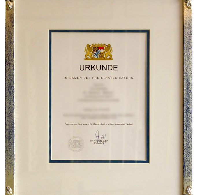 Verzierte Urkunde 2